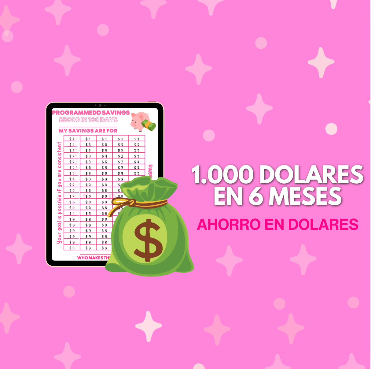 1.000 dólares en 6 meses