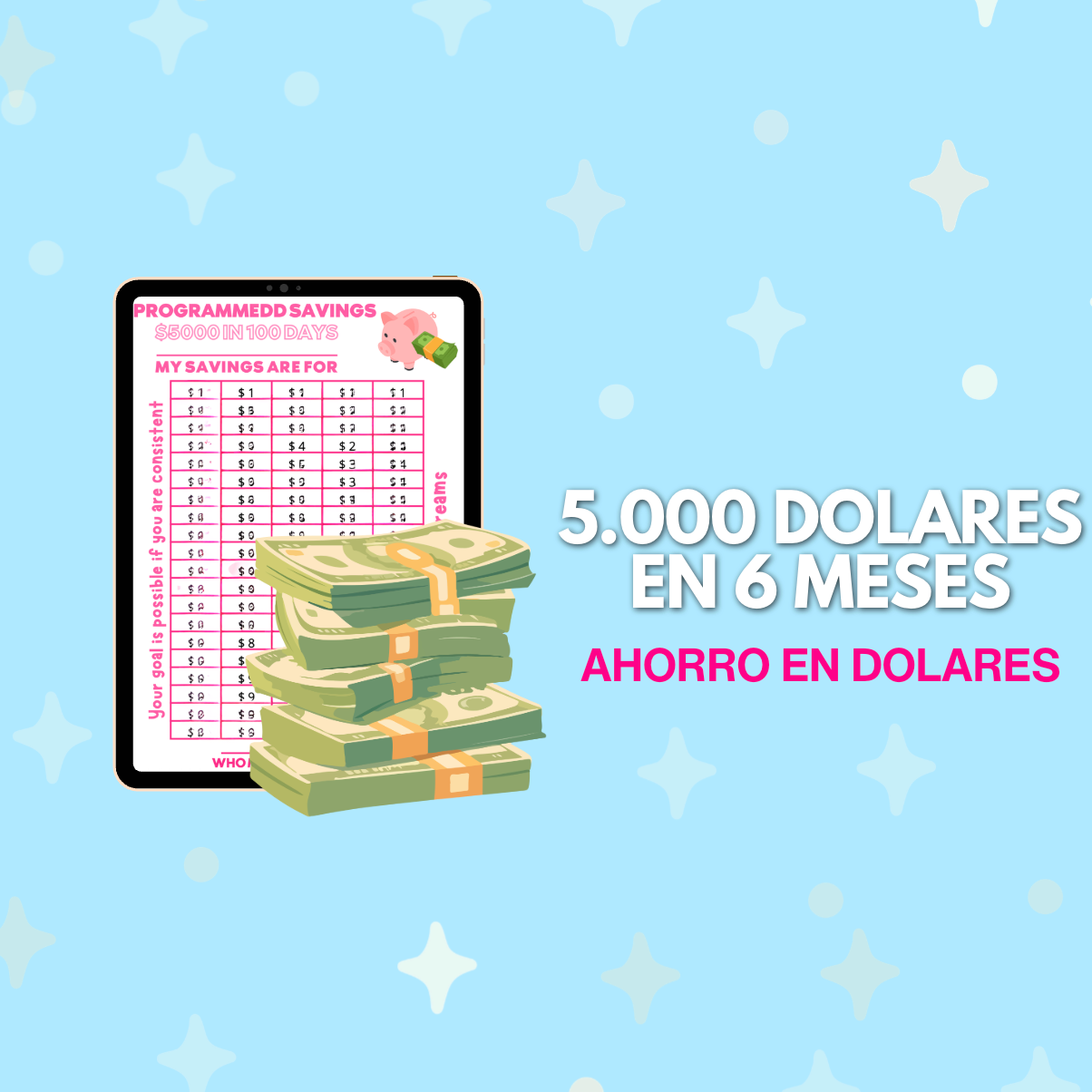 5.000 dólares en 6 meses