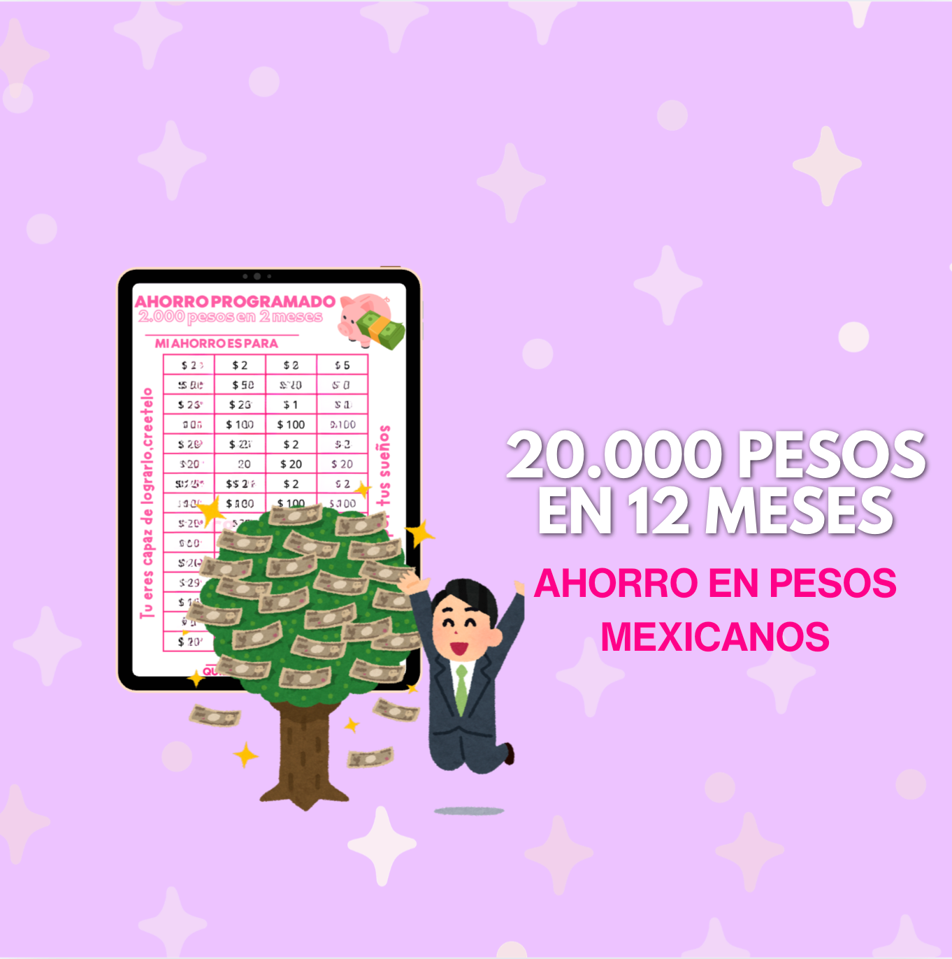 20.000 pesos mexicanos en 12 meses