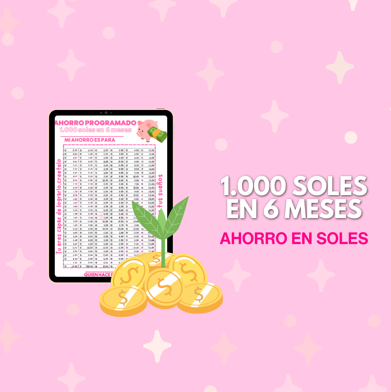1.000 soles en 6 meses